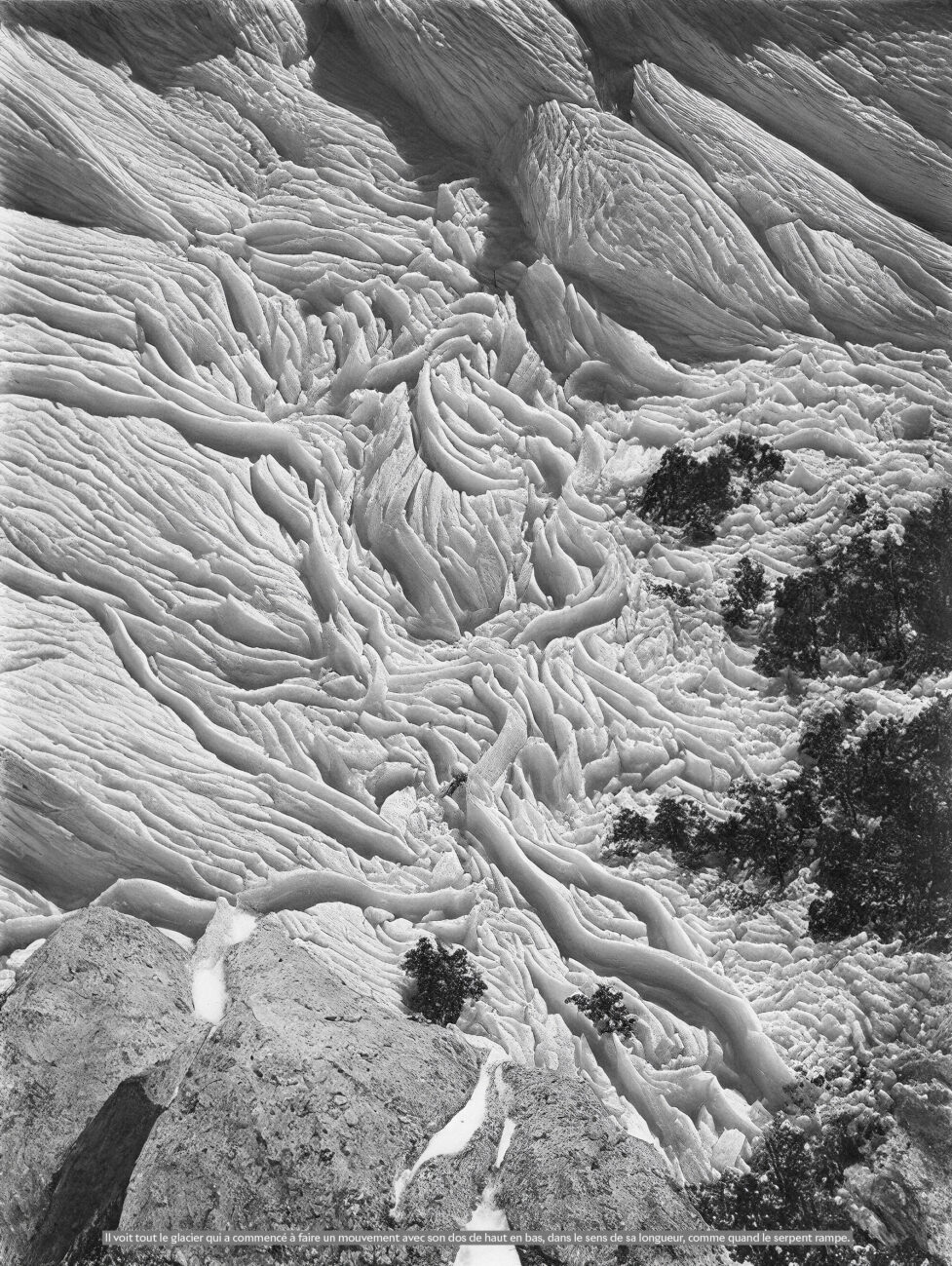 La photographie en noir et blanc montre un glacier qui semble presque en mouvement. Des arbres sont pris dans ses glaces et il recouvre des rochers que l'on voit sur le bas de l'image. La citation suivante est insérée tout en bas de la photo: 