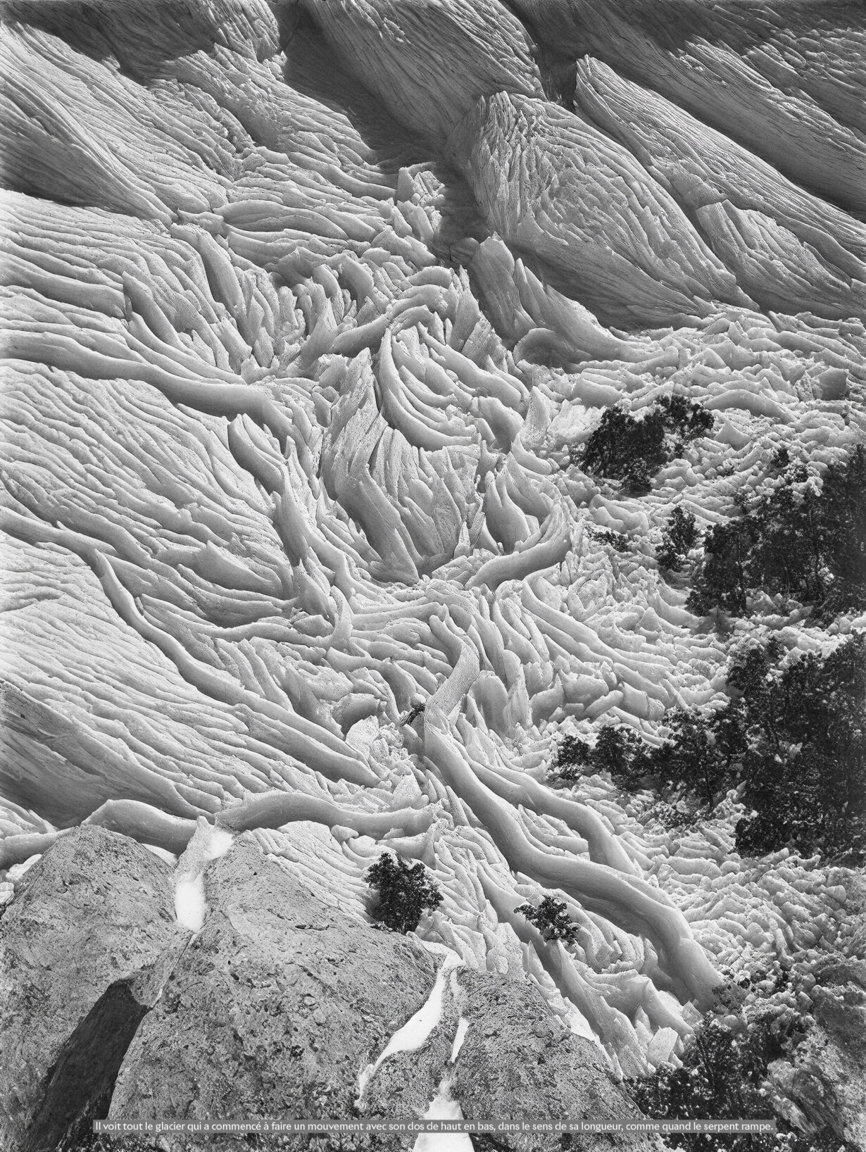 This black-and-white image shows a glacier that almost seems to be moving. Trees are held in its ice and it covers rocks, which can be seen at the bottom of the picture. The following quote is inserted at the very bottom of the photo: “He sees the whole glacier start to move up and down with its back, lengthwise, like a snake crawling.”